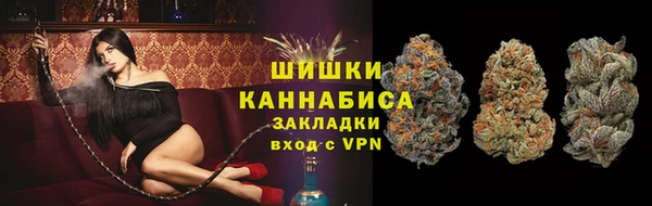 ГАЛЛЮЦИНОГЕННЫЕ ГРИБЫ Бронницы