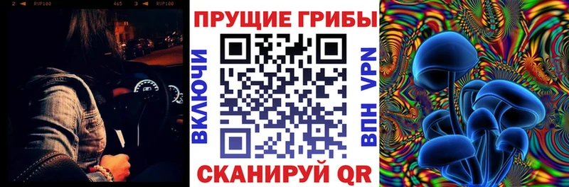 Купить где  Няндома  Псилоцибиновые грибы Psilocybine cubensis 