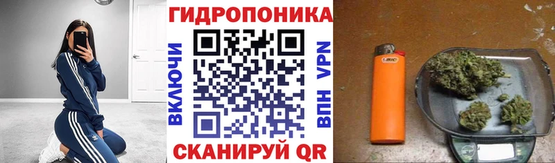 Купить  Няндома  Бошки Шишки планчик 